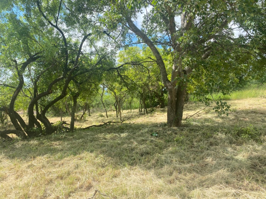 0 Bedroom Property for Sale in Drum Rock Mpumalanga
