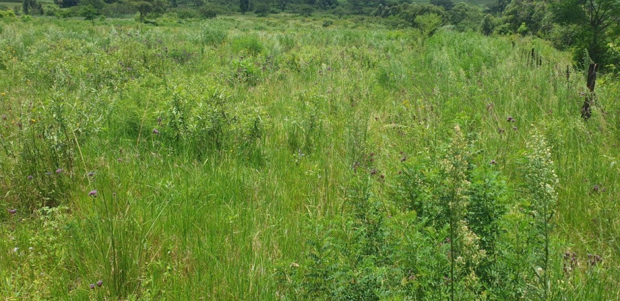 4 Bedroom Property for Sale in White River AH Mpumalanga