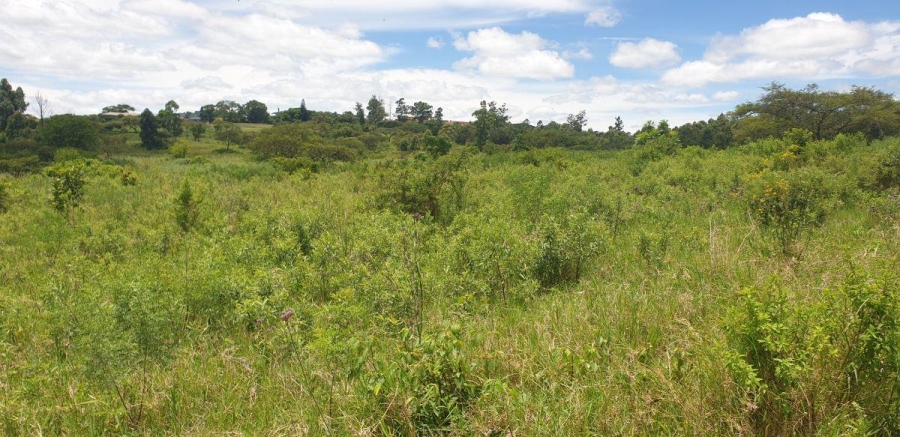 4 Bedroom Property for Sale in White River AH Mpumalanga