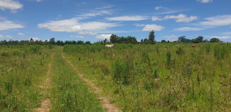 4 Bedroom Property for Sale in White River AH Mpumalanga