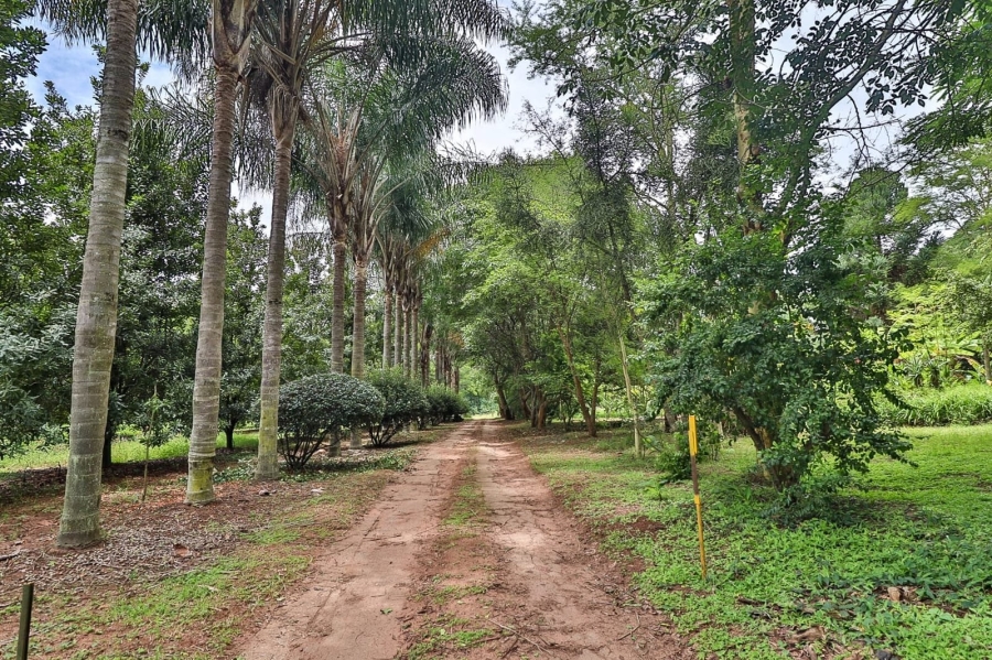 Commercial Property for Sale in White River Rural Mpumalanga