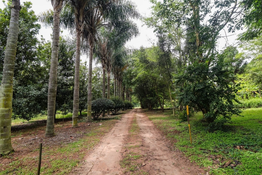 Commercial Property for Sale in White River Rural Mpumalanga