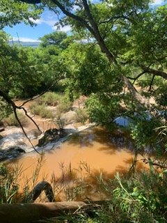 Commercial Property for Sale in Barberton Rural Mpumalanga