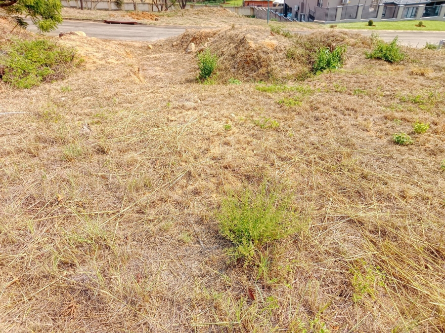 Commercial Property for Sale in Drum Rock Mpumalanga