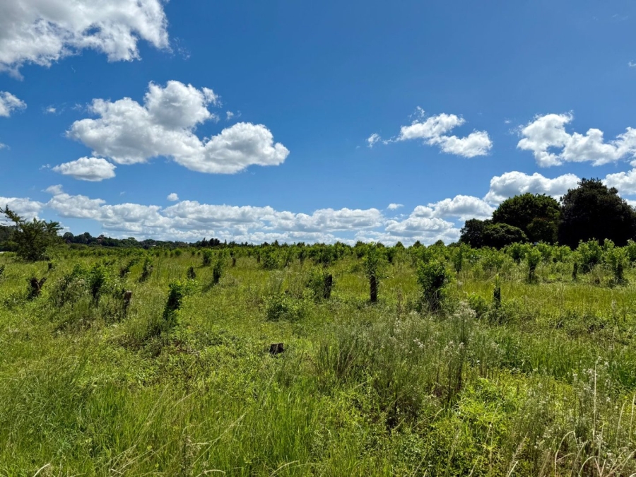 Commercial Property for Sale in White River Rural Mpumalanga