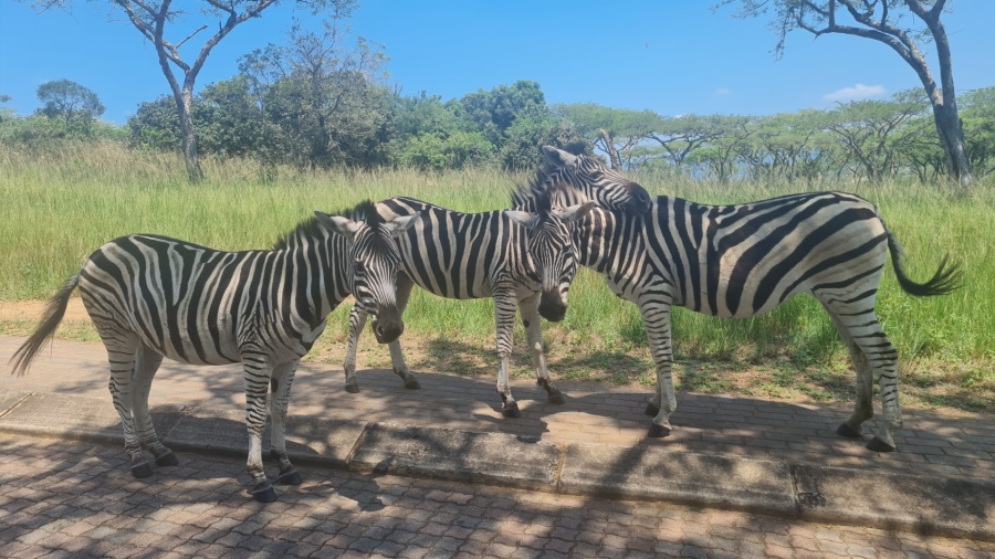 Commercial Property for Sale in Wild Fig Country Estate Mpumalanga