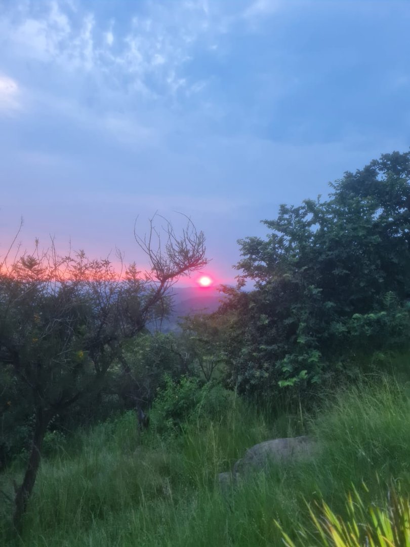 Commercial Property for Sale in Wild Fig Country Estate Mpumalanga