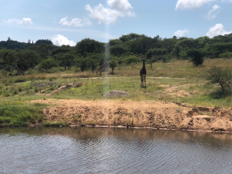 Commercial Property for Sale in Wild Fig Country Estate Mpumalanga