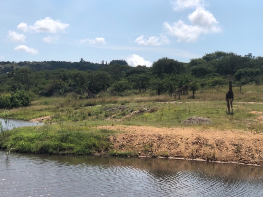 Commercial Property for Sale in Wild Fig Country Estate Mpumalanga