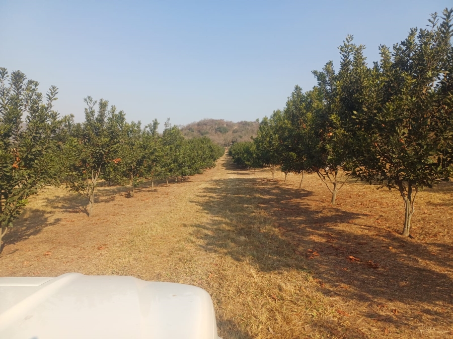 Commercial Property for Sale in Nelspruit Rural Mpumalanga