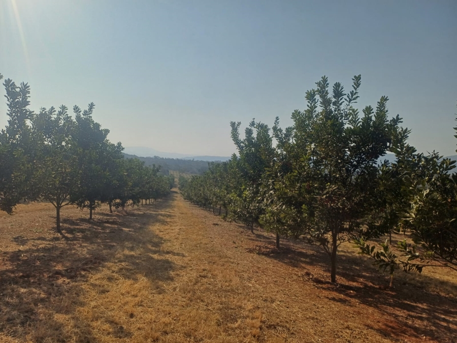 Commercial Property for Sale in Nelspruit Rural Mpumalanga