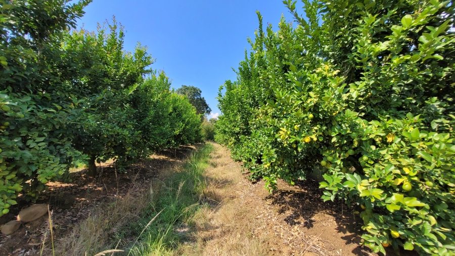 Commercial Property for Sale in Nelspruit Rural Mpumalanga