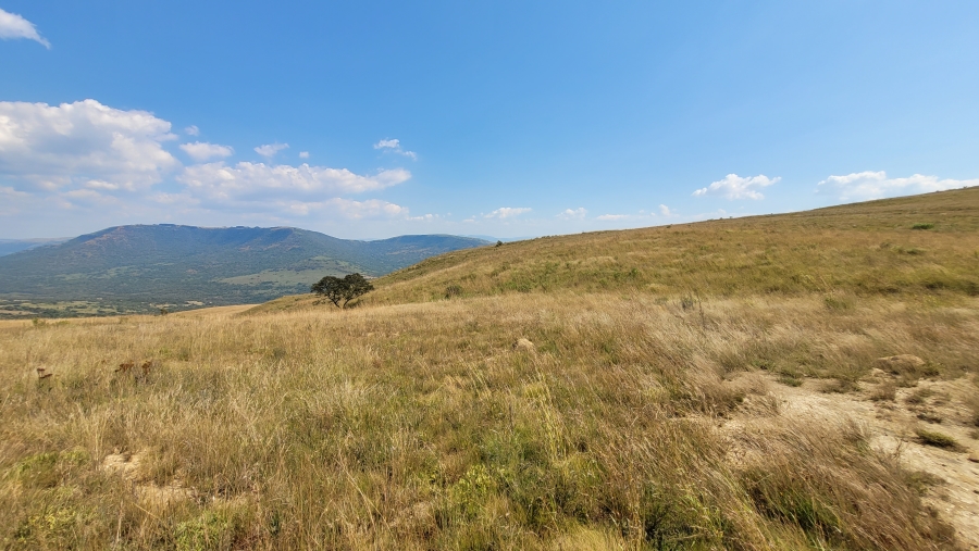 Commercial Property for Sale in Nelspruit Rural Mpumalanga