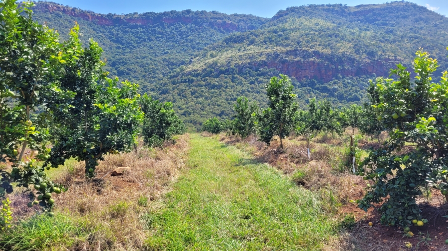 Commercial Property for Sale in Nelspruit Rural Mpumalanga