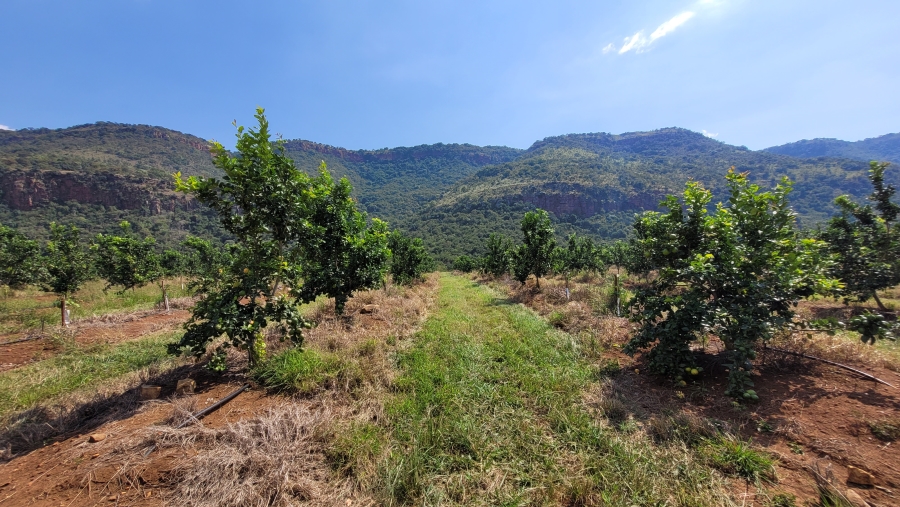 Commercial Property for Sale in Nelspruit Rural Mpumalanga