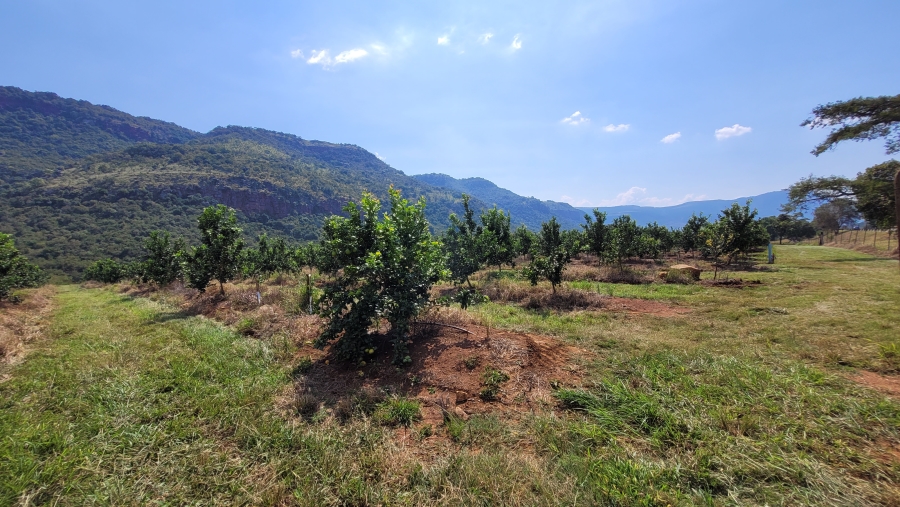 Commercial Property for Sale in Nelspruit Rural Mpumalanga