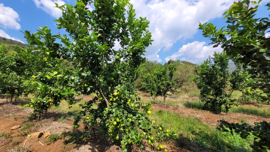 Commercial Property for Sale in Nelspruit Rural Mpumalanga