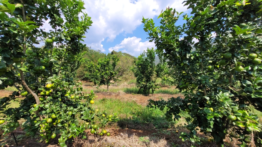 Commercial Property for Sale in Nelspruit Rural Mpumalanga