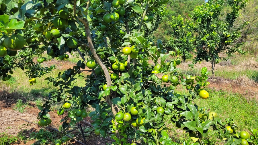 Commercial Property for Sale in Nelspruit Rural Mpumalanga