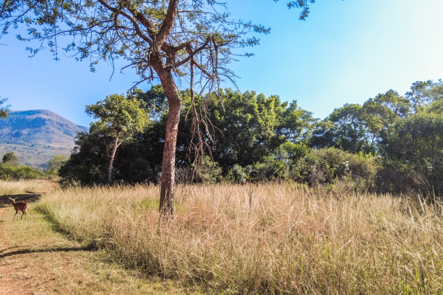 0 Bedroom Property for Sale in Samango Eco Estate Mpumalanga