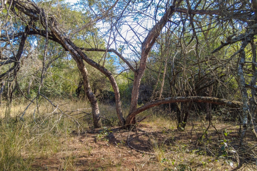 0 Bedroom Property for Sale in Samango Eco Estate Mpumalanga