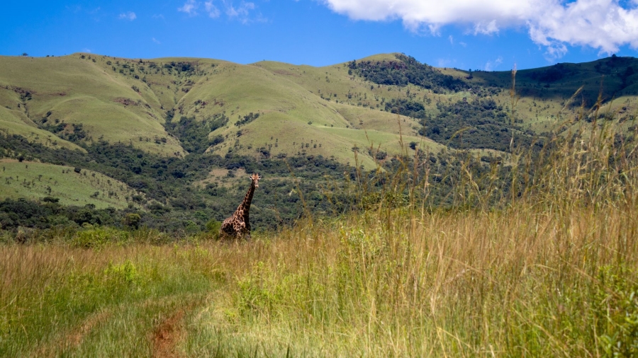 0 Bedroom Property for Sale in Samango Eco Estate Mpumalanga