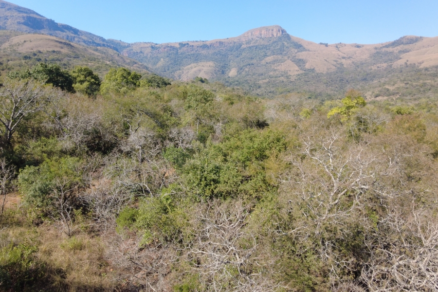 0 Bedroom Property for Sale in Samango Eco Estate Mpumalanga