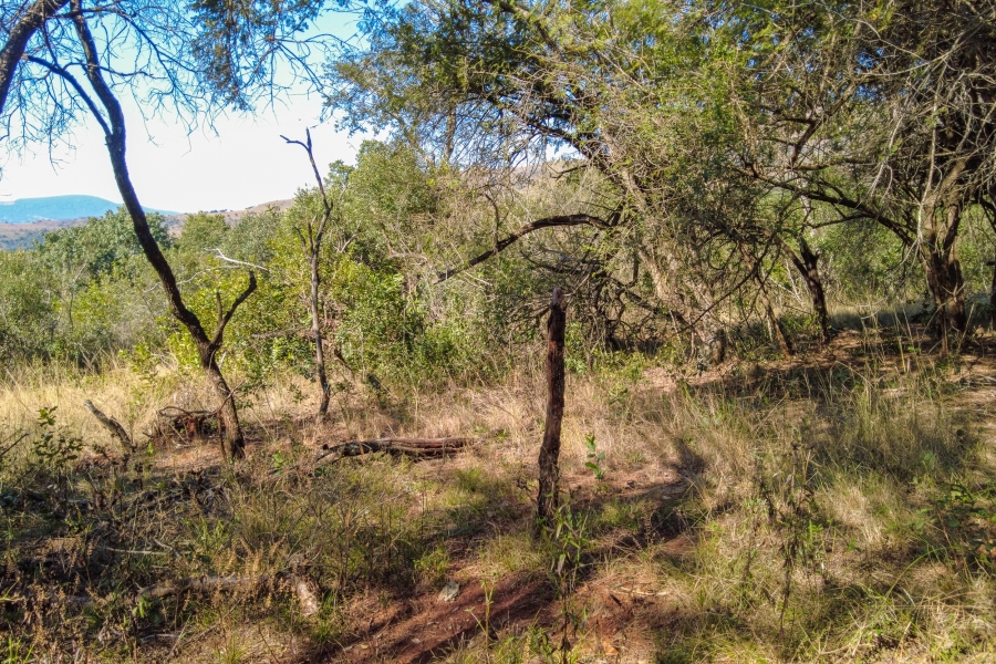 0 Bedroom Property for Sale in Samango Eco Estate Mpumalanga