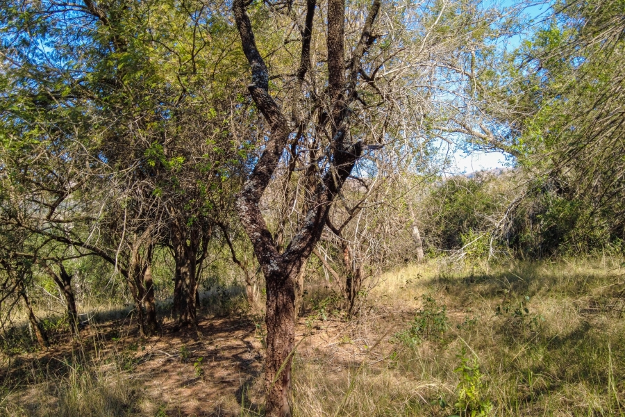 0 Bedroom Property for Sale in Samango Eco Estate Mpumalanga