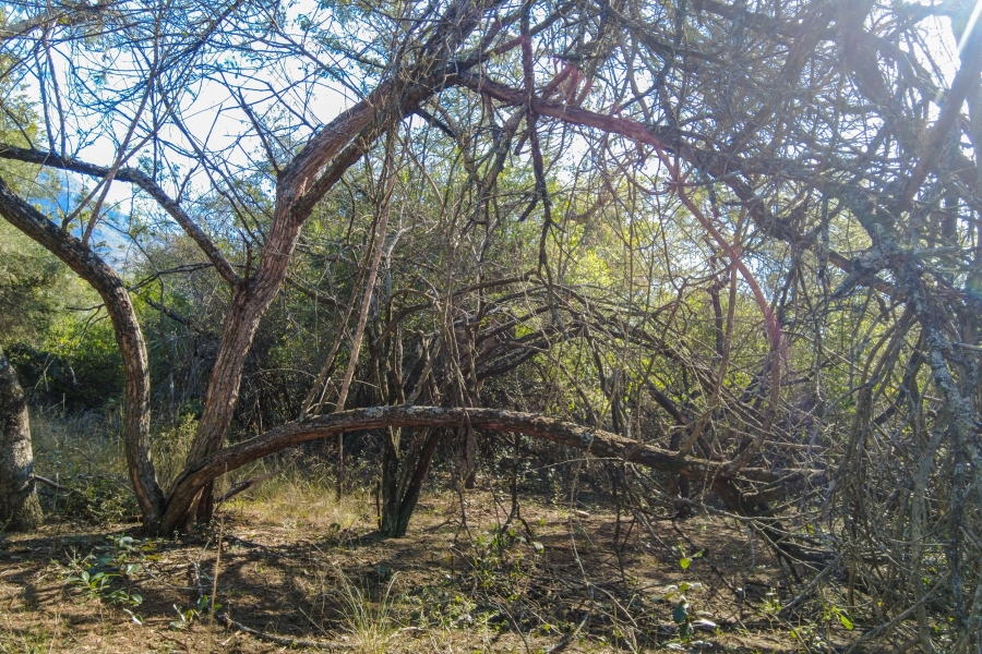 0 Bedroom Property for Sale in Samango Eco Estate Mpumalanga