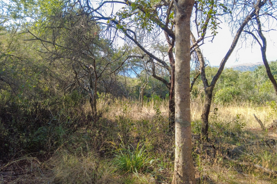 0 Bedroom Property for Sale in Samango Eco Estate Mpumalanga