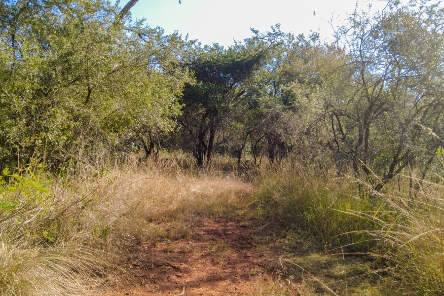 0 Bedroom Property for Sale in Samango Eco Estate Mpumalanga