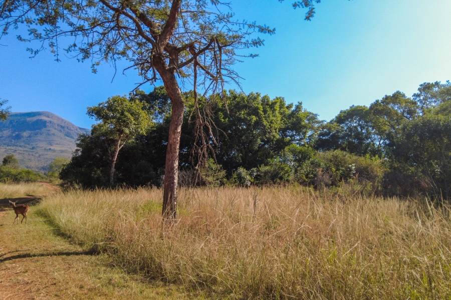 0 Bedroom Property for Sale in Samango Eco Estate Mpumalanga
