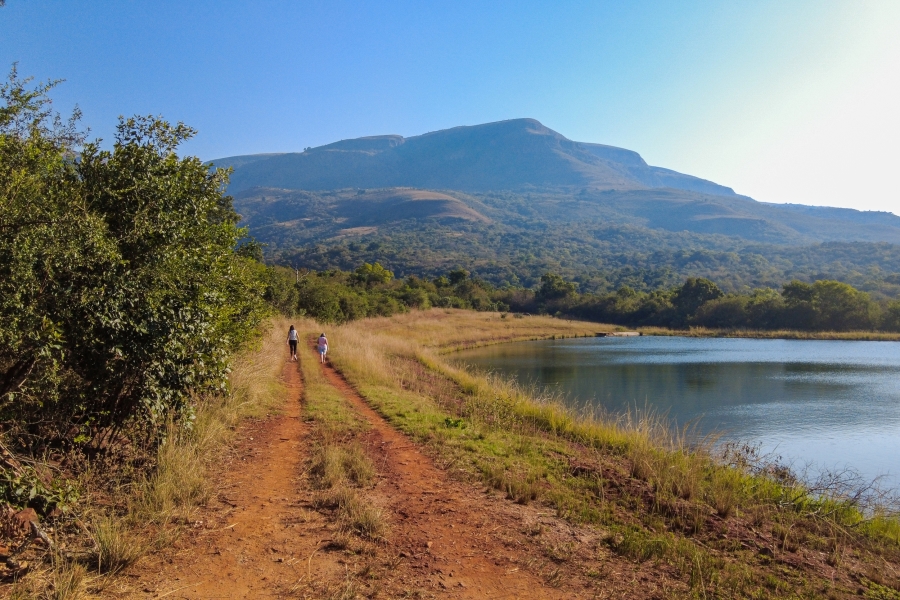 0 Bedroom Property for Sale in Samango Eco Estate Mpumalanga