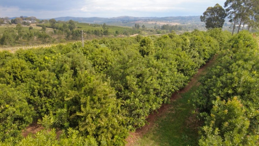 Commercial Property for Sale in White River Rural Mpumalanga