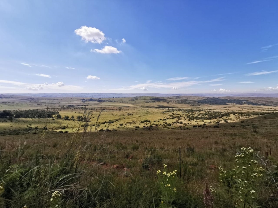 Commercial Property for Sale in Carolina Rural Mpumalanga