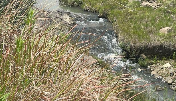 Commercial Property for Sale in Carolina Rural Mpumalanga