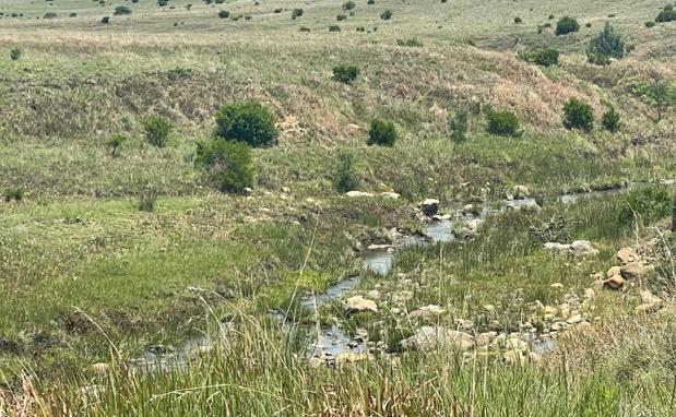 Commercial Property for Sale in Carolina Rural Mpumalanga