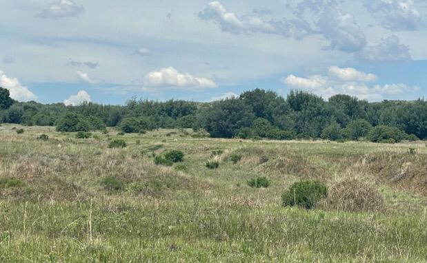 Commercial Property for Sale in Carolina Rural Mpumalanga