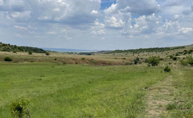 Commercial Property for Sale in Carolina Rural Mpumalanga