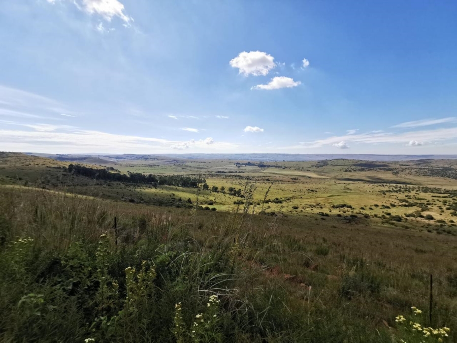 Commercial Property for Sale in Carolina Rural Mpumalanga