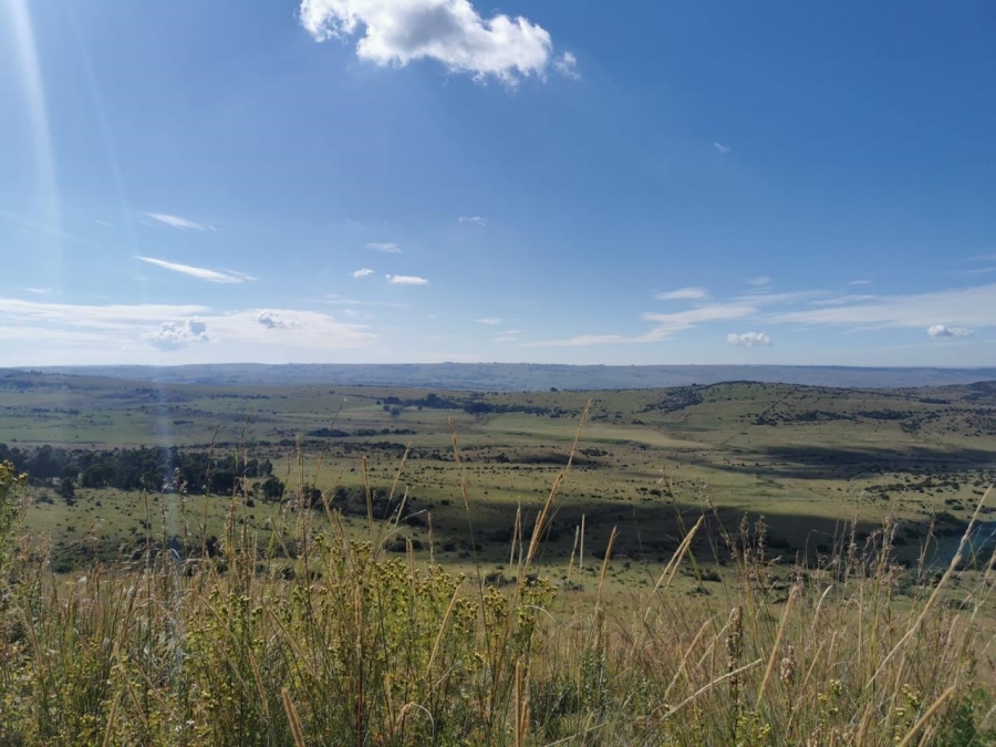 Commercial Property for Sale in Carolina Rural Mpumalanga