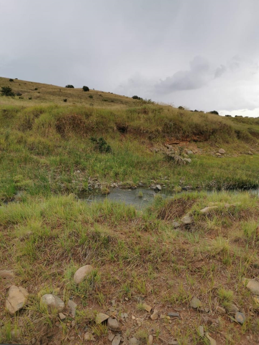 Commercial Property for Sale in Carolina Rural Mpumalanga