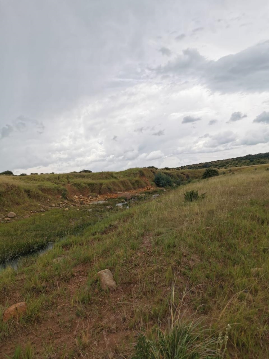 Commercial Property for Sale in Carolina Rural Mpumalanga