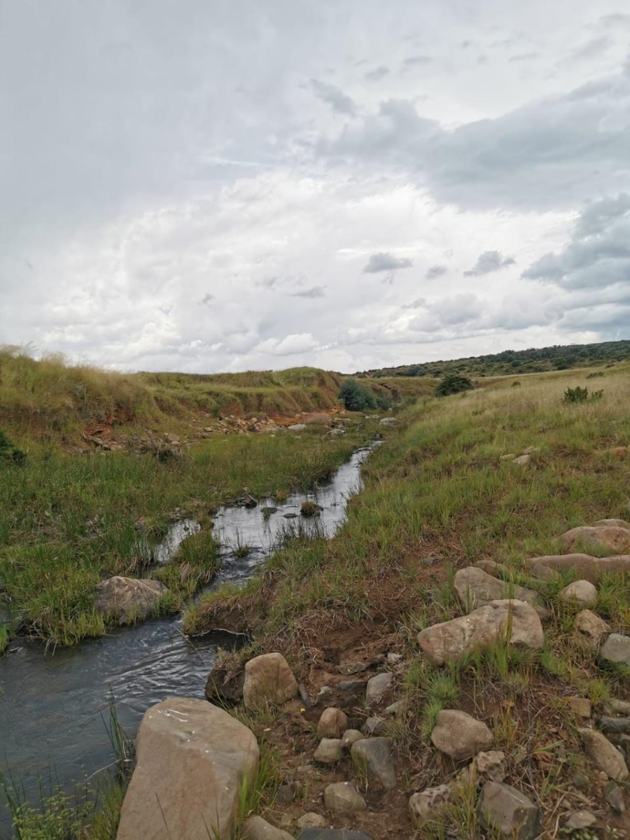 Commercial Property for Sale in Carolina Rural Mpumalanga