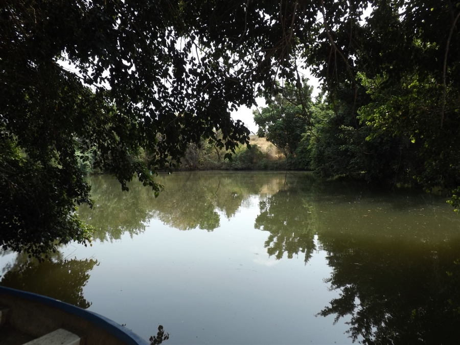 Commercial Property for Sale in Kaapmuiden Mpumalanga