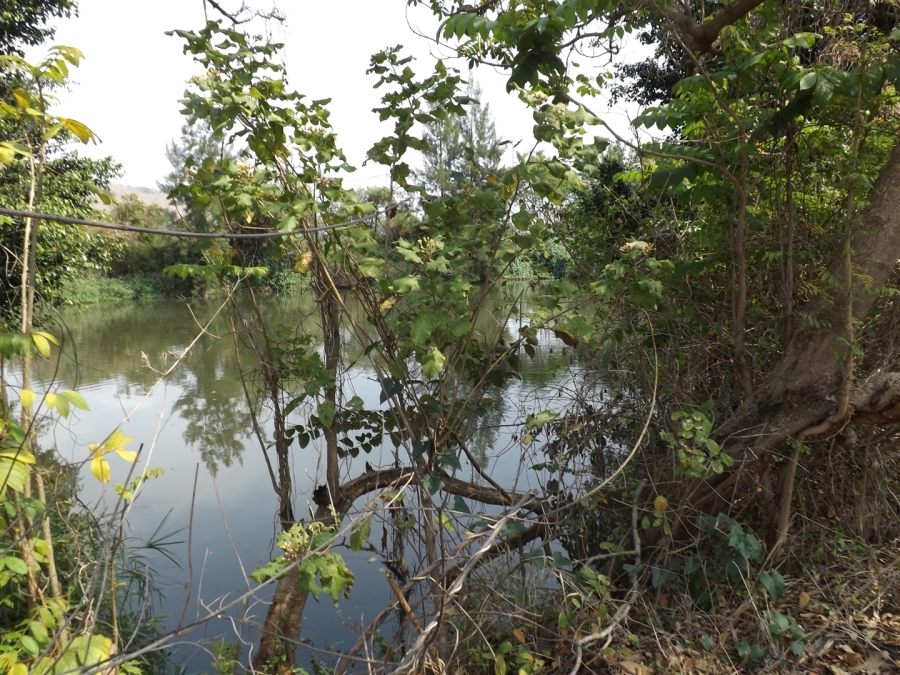 Commercial Property for Sale in Kaapmuiden Mpumalanga