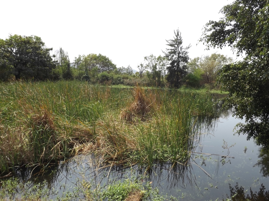 Commercial Property for Sale in Kaapmuiden Mpumalanga