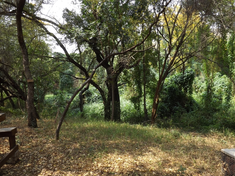 Commercial Property for Sale in Kaapmuiden Mpumalanga