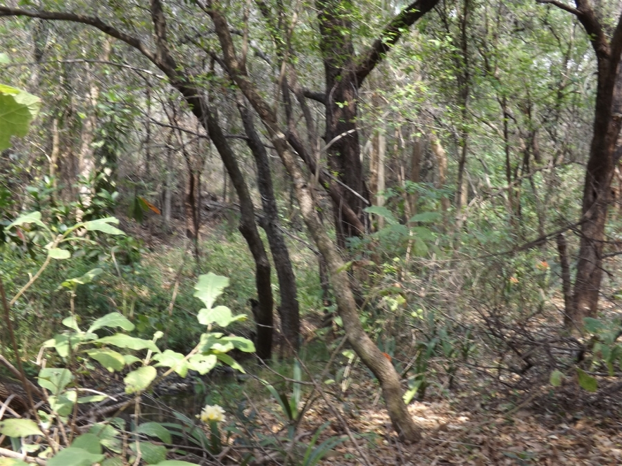 Commercial Property for Sale in Kaapmuiden Mpumalanga